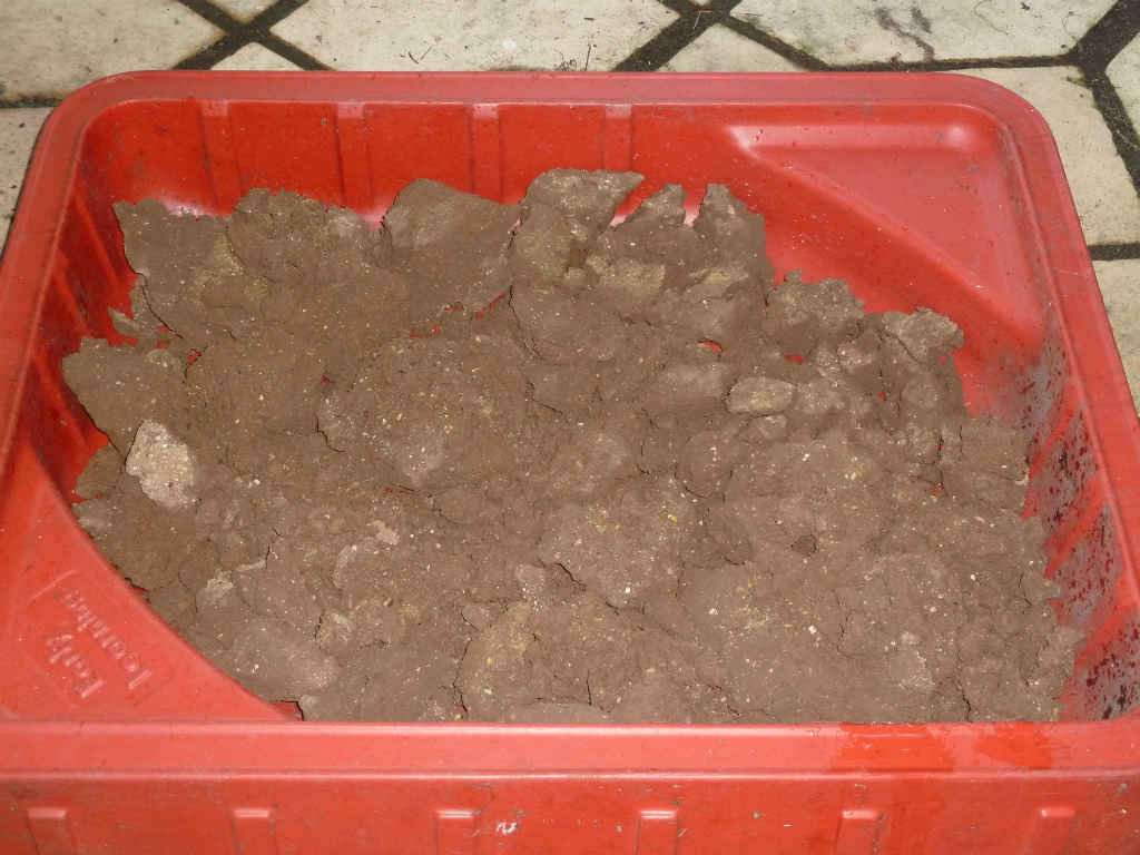 Build your own Clay Oven - Protection - SimpleNick